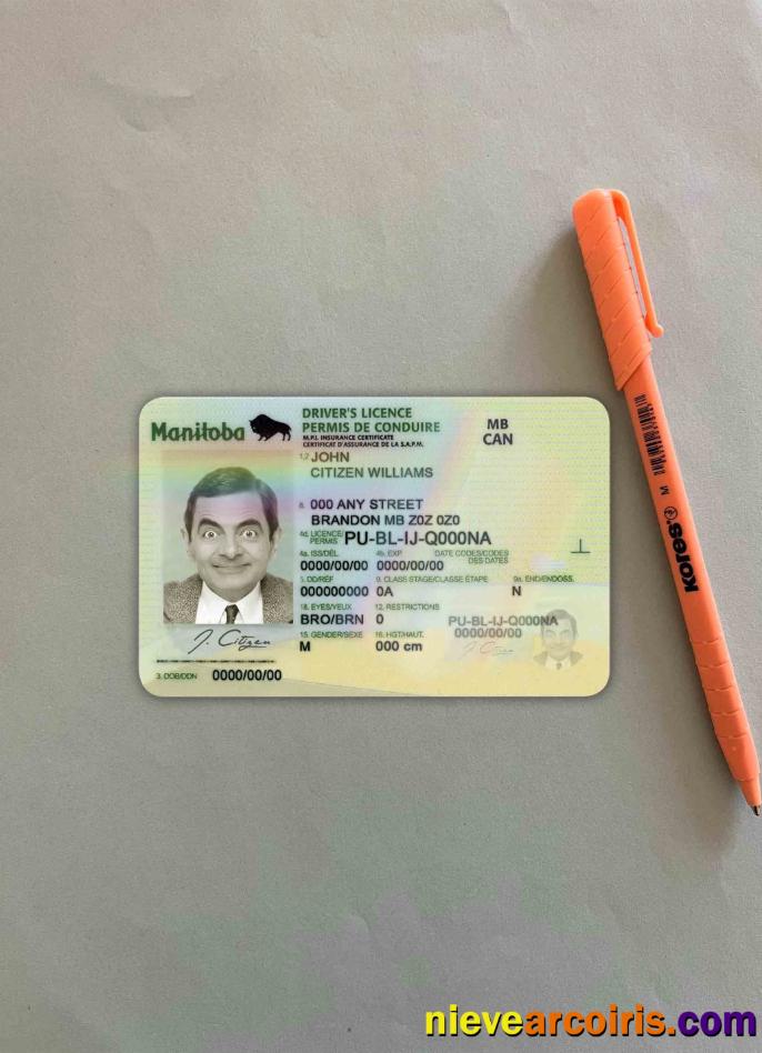 Canada Manitoba driving license photolook